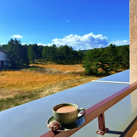 Krcmar アパート *